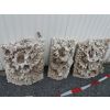 Riffkeramik Rückwand ca. 1,6m Breit Hersteller Korallenwelt