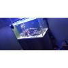 Meerwasseraquarium 360 Liter